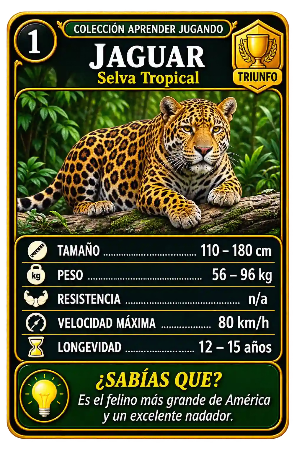 Animales y sus Hábitats — exemplo visual 1