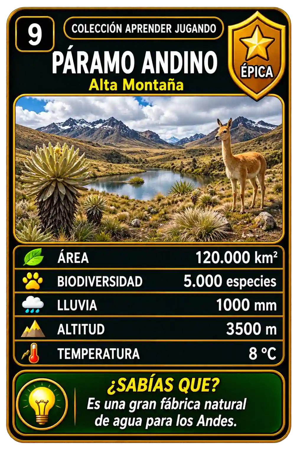 Biomas de América Latina — exemplo visual 2