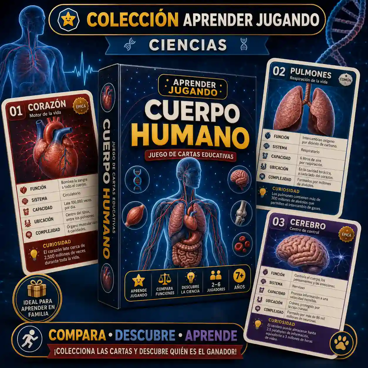 Juego educativo Cuerpo Humano